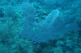 2008-05-17 15-06-13 H